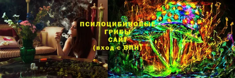 сайты даркнета формула  Железногорск-Илимский  Псилоцибиновые грибы Magic Shrooms  как найти закладки 